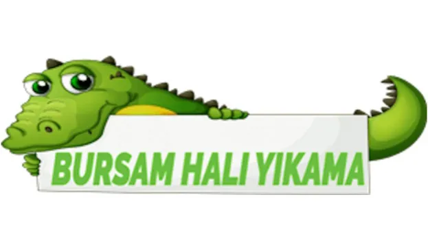 Bursam Halı Yıkama